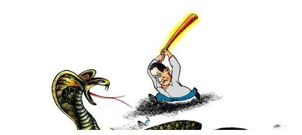 打蛇打七寸打一生肖、采民作答落实解释