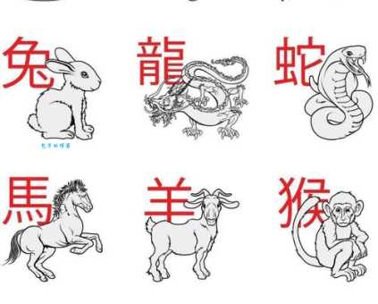 目空一切打一生肖，全面揭晓与解释落实