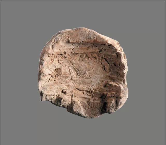 泥古拘方打一生肖，深度解析与落实