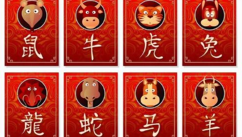 一窍不通打一生肖、的最快解答落实