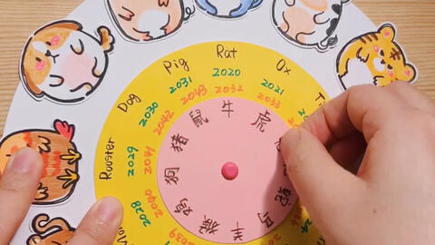 水上的动物打一生肖、解析作答落实解释