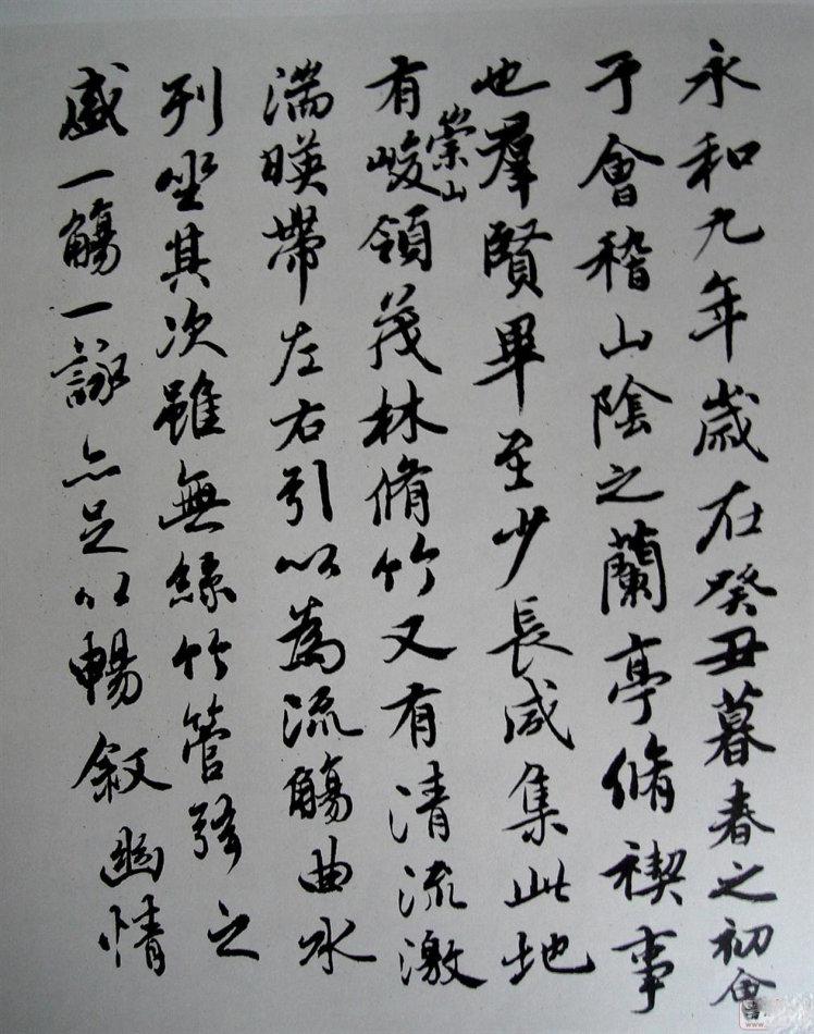 石火光阴与生肖的奥秘，热议、解释与落实