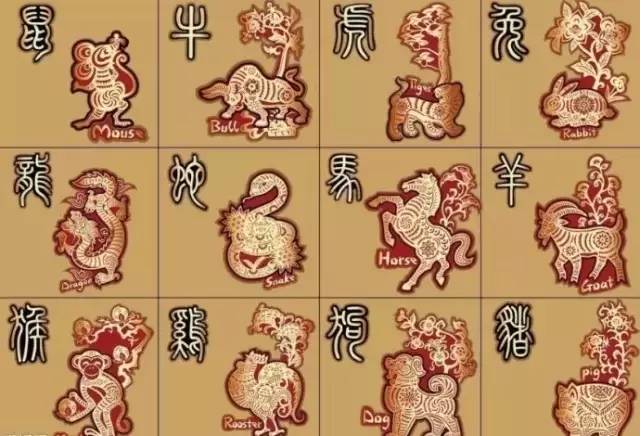 闭门塞窦，生肖之谜与成就的深度解读