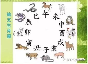 欢打一生肖，谜团与人生哲理的深度探索