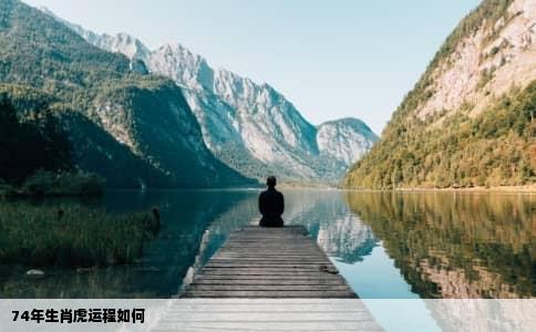 长途跋涉打一生肖、奥秘解释落实