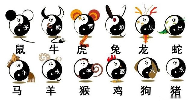 怕胆怕打猜一生肖、积极解释与落实的转变