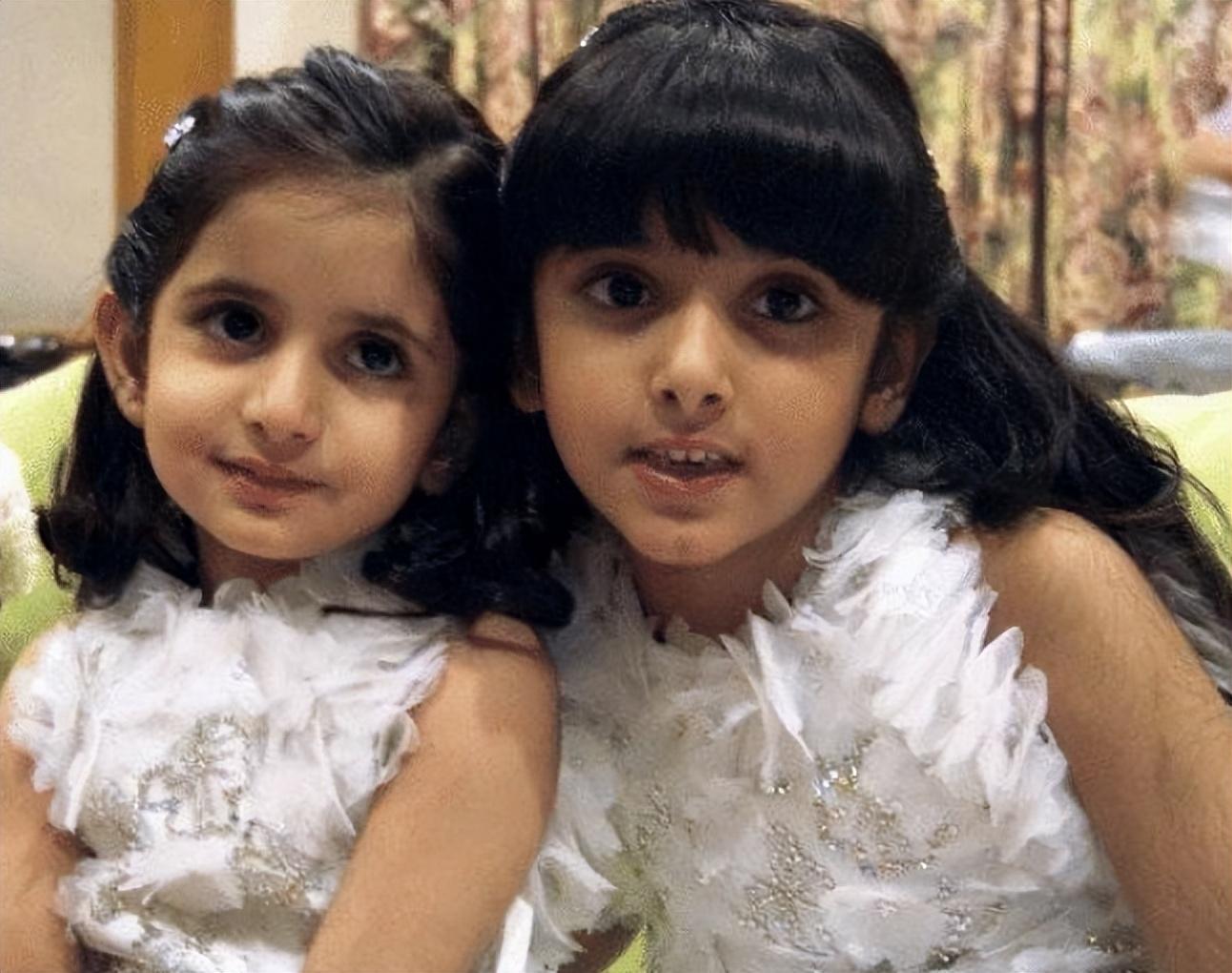 糟老头子与生肖之谜，引领非凡解释的实践路径