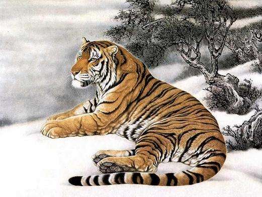 风光正茂打一生肖、一语中的，全面解析