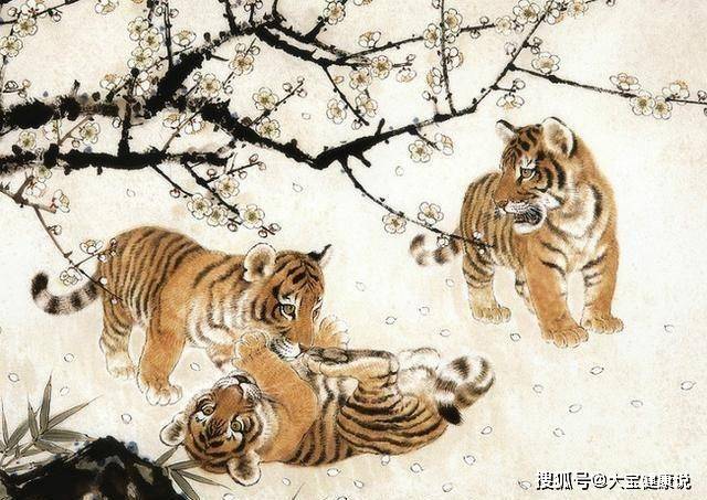 洞庭连天打一生肖、揭秘如何选择并落实正确的