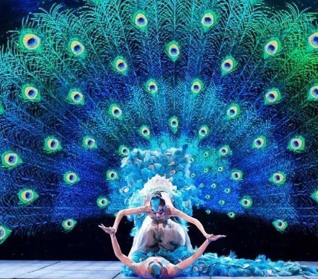 孔雀开屏打一生肖、一场误导解释的落实与反思