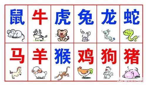 数一数二打一生肖、一语中的，全面解析