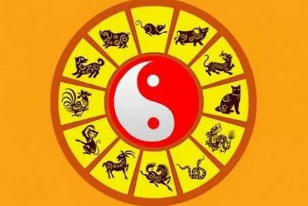 妙手回春与沉稳作答，生肖之谜的深度解析