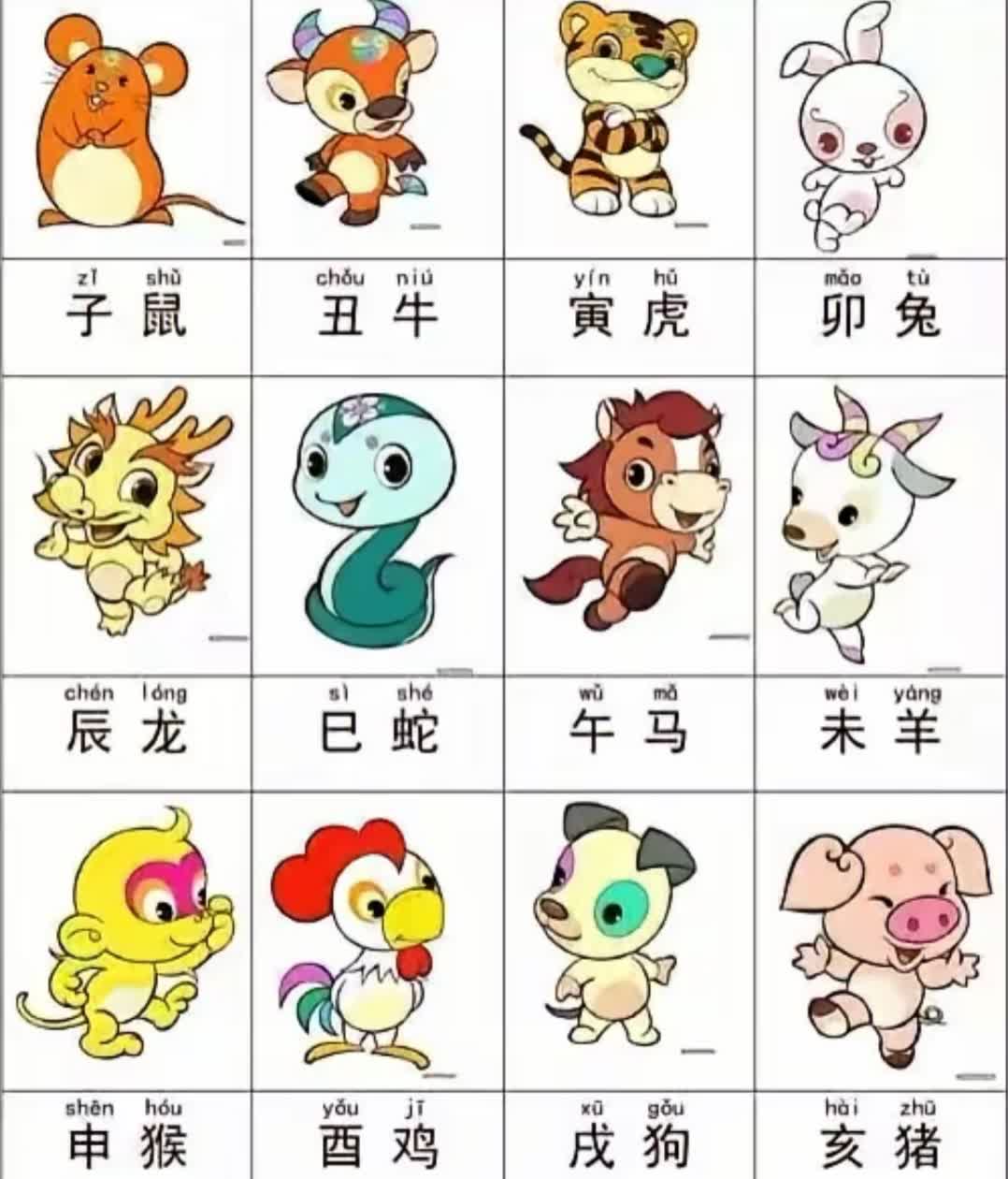 左右难做打一生肖—以佩服为线索的深度解析