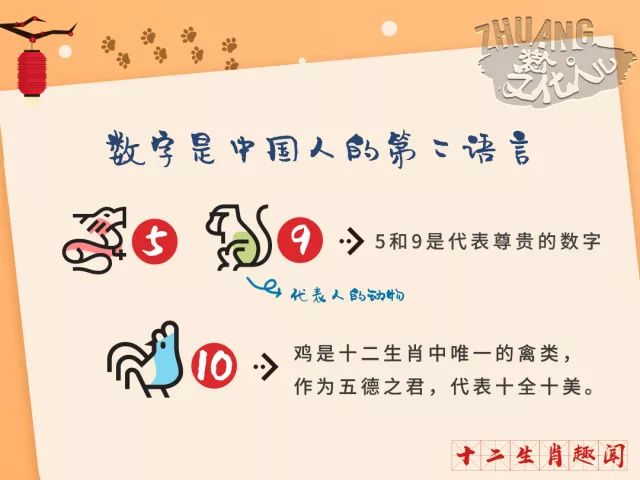 三言二语解生肖奥秘，以三言二语打一生肖为线索的探索