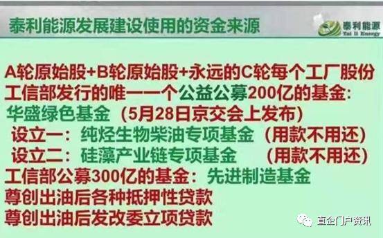 灯红酒绿打一生肖数字、科技赋能下的传统运动文化新解