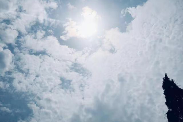 骄阳似火，揭秘背后的生肖寓意与网络解释的落实