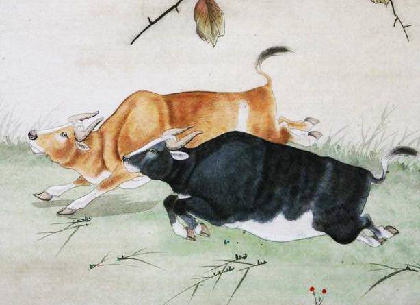 床下有特码打一生肖、背后的坚韧与不屈