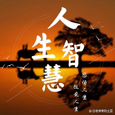 天生我才，正确解释与落实的智慧之路