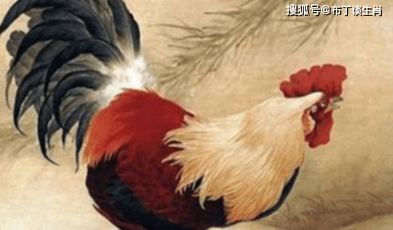 鹤骨鸡肤打一生肖，探寻生肖背后的文化与智慧