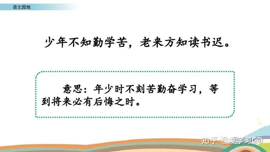 二八佳人与生肖之谜，精选解析与落实的详细结果