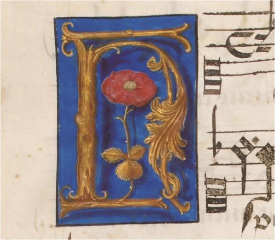 西方净土与生肖之谜，探寻神秘联系