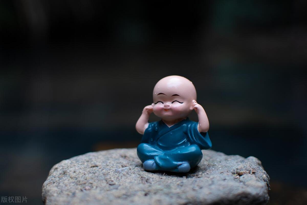 一针见血打一生肖、佩服作答落实解释