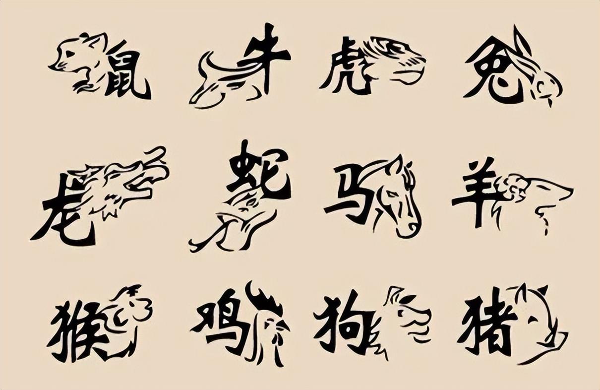 乱字打一生肖、喜欢作答落实解释