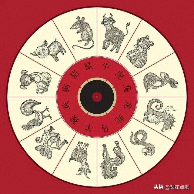 昏打一生肖，探寻生肖背后的文化与智慧