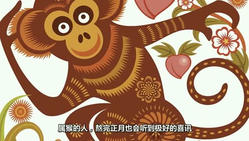 修炼成精，生肖猴的精选解析与落实的详细结果