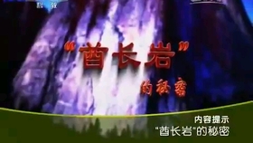 揭竿四起打一生肖，一场科技与神秘交织的数字仪式