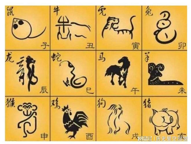 两个儿子与生肖的和谐共舞，家庭中的文化传承与理解