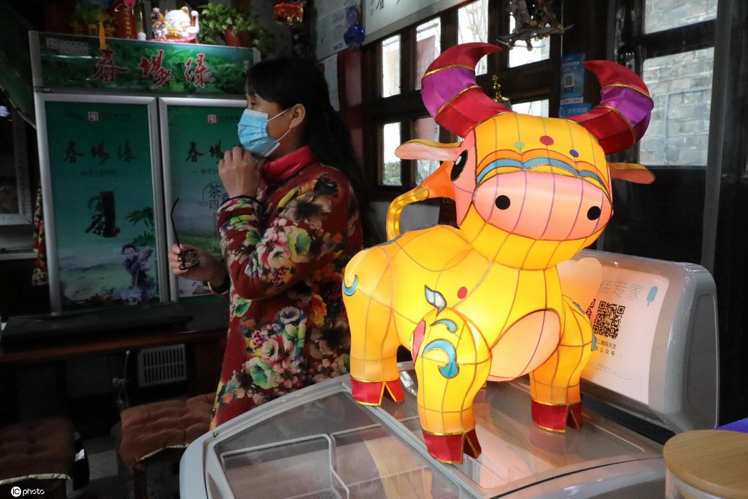 目光如豆与生肖之谜，一场智慧的较量