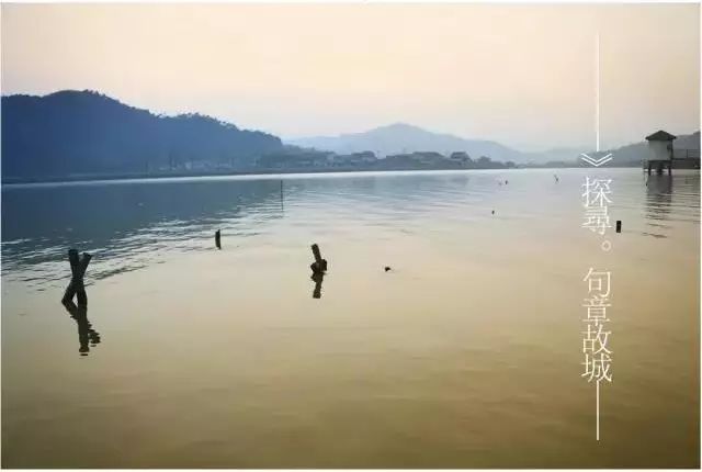 一口吸尽西江水—探寻生肖之谜与理想实现的真谛