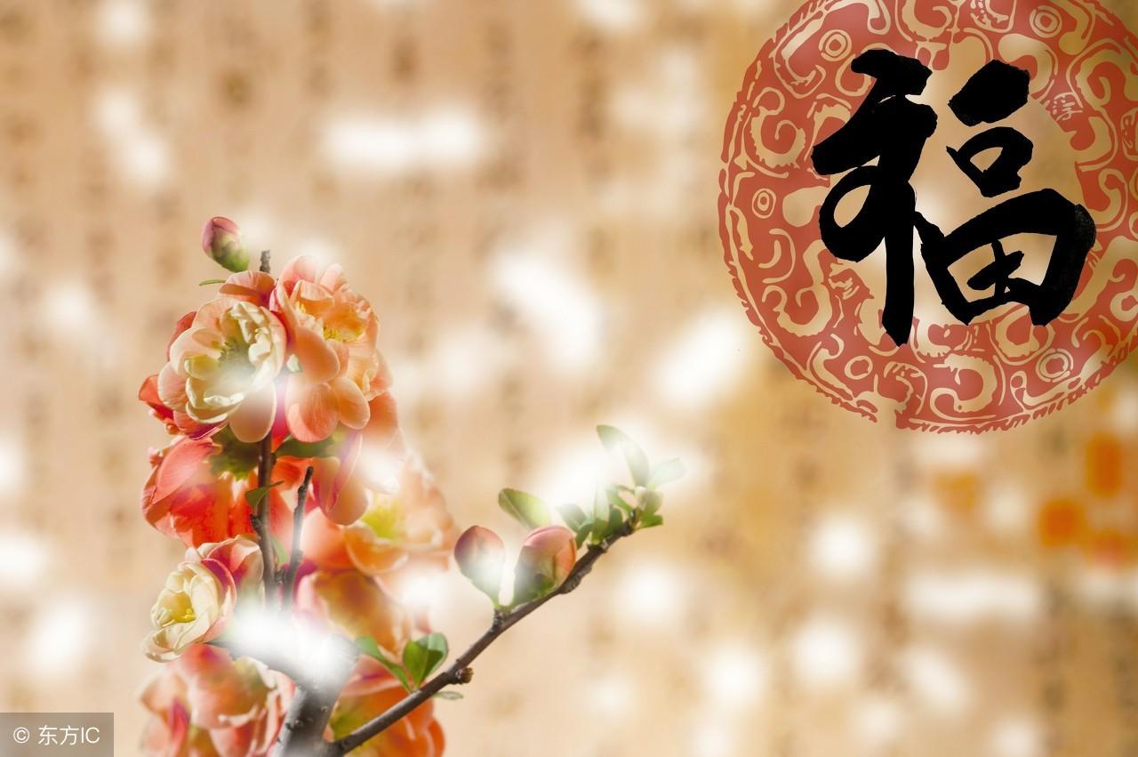 小康水平.打一个生肖、成就解释落实