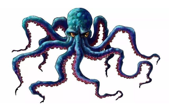 探索与解惑，章鱼是鱼吗？打一生肖的趣味解读