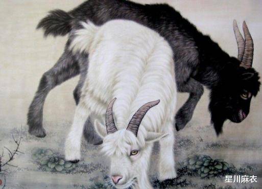 今期生肖定龙羊，积极解释落实显真章