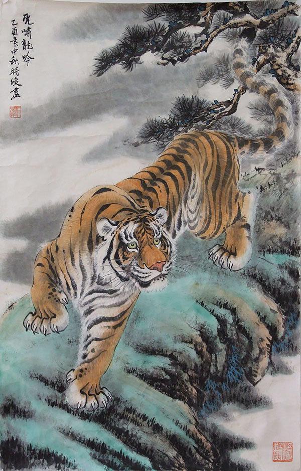 兔年虎打一生肖、的精准解答与落实精神