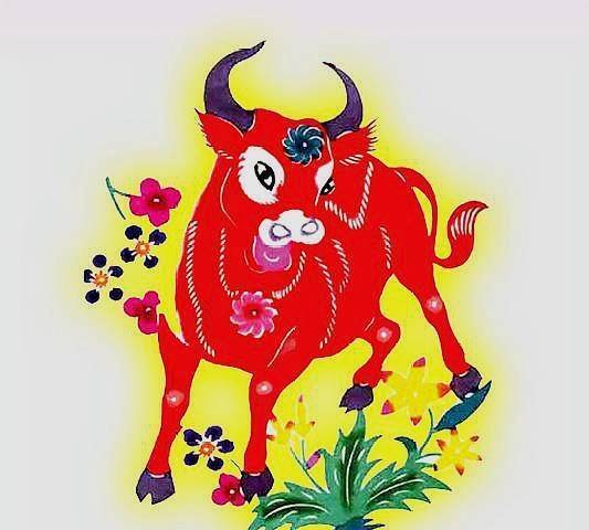 辛勤耕耘，牛年话牛，生肖中的辛勤与激励