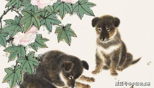 花开富贵，牧舟王打一生肖，传统智慧与现代生活的巧妙融合