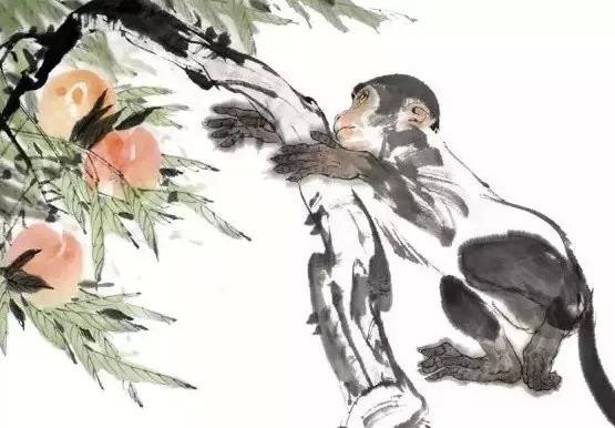 猴子偷桃打一生肖、解析作答落实解释