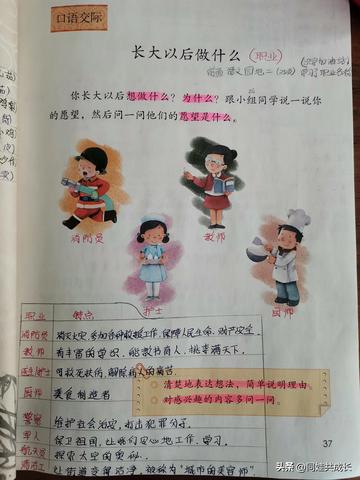飞天钻地打一生肖、结论作答落实解释