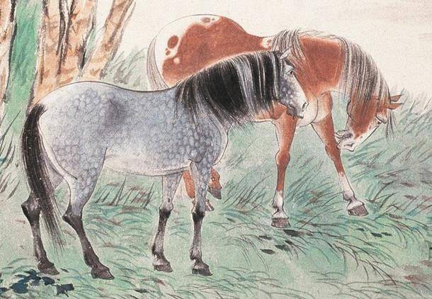 犹记当年草上飞，生肖之谜与积极解释落实的智慧