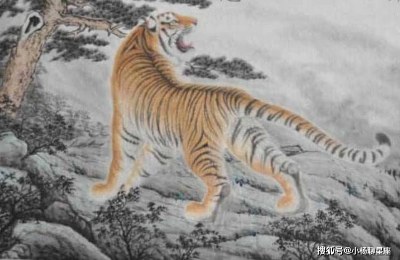 龙腾虎啸打一生肖、的精准解答与落实精神