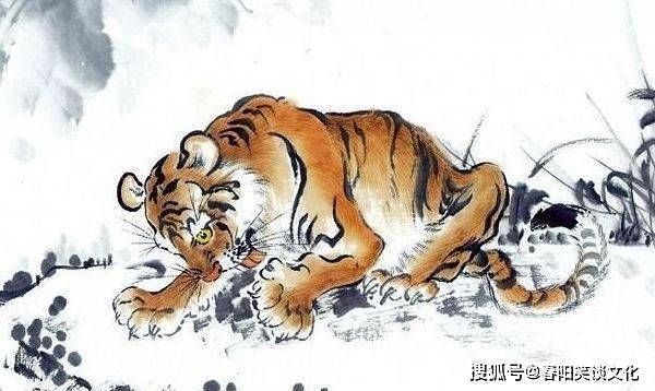 付之一炬，揭秘生肖答案的背后与结论的落实