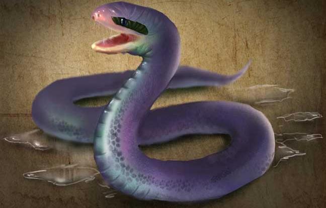 画蛇添足打一个生肖、新型作答落实解释