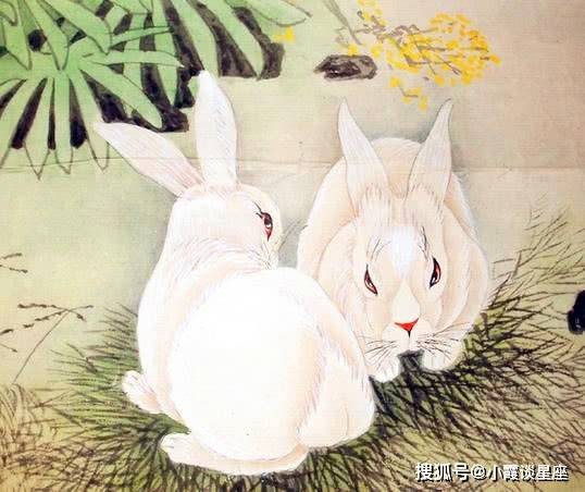 芳打一生肖，兔—细腻与坚韧的完美结合