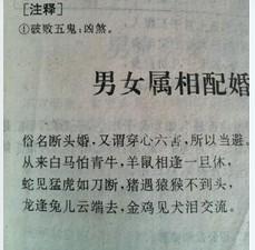 草头天子打一生肖、相信作答落实解释