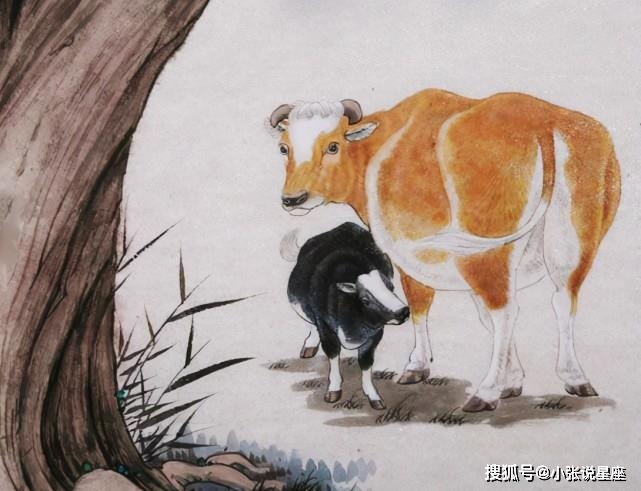 春夏百草均好结打一生肖、揭秘如何选择并落实正确的 春夏百草均好结打一生肖、揭秘如何选择并落实正确的