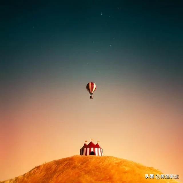 夜伏日出，生肖之谜的深度解析与智慧思考