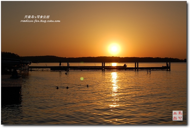 夕阳无限好打一个生肖，揭秘背后的文化与智慧